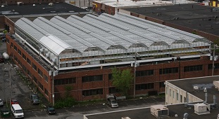 Lufa farm on top of a factory.